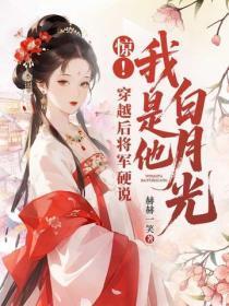 惊！穿越后将军硬说我是他白月光