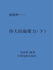 伟大的凝聚力（下）