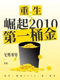 重生：崛起2010，第一桶金
